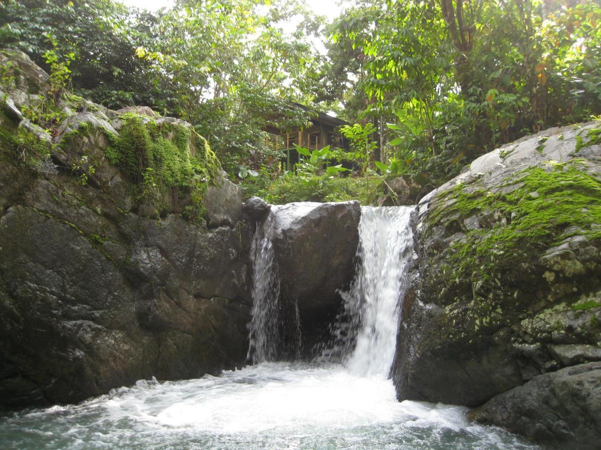 Rio Tico Safari Lodge Punta Mala Esterno foto