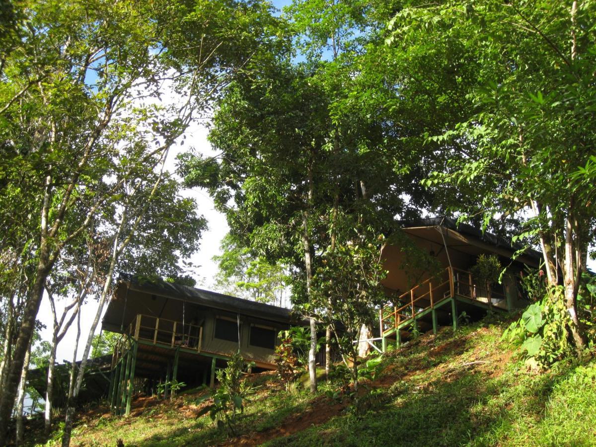 Rio Tico Safari Lodge Punta Mala Esterno foto